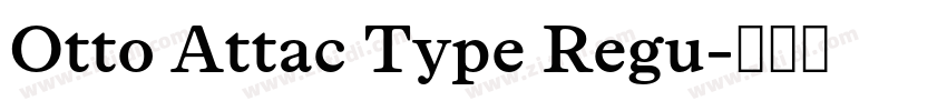 Otto Attac Type Regu字体转换